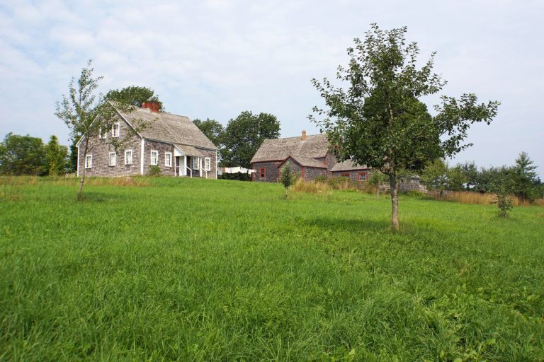 Odrolnienie działki – jak przekształcić działkę rolną w budowlaną (krok po kroku)