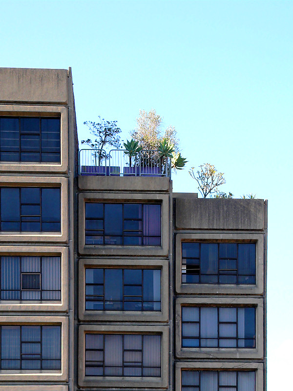 Co z polisą ubezpieczenia po sprzedaży mieszkania?